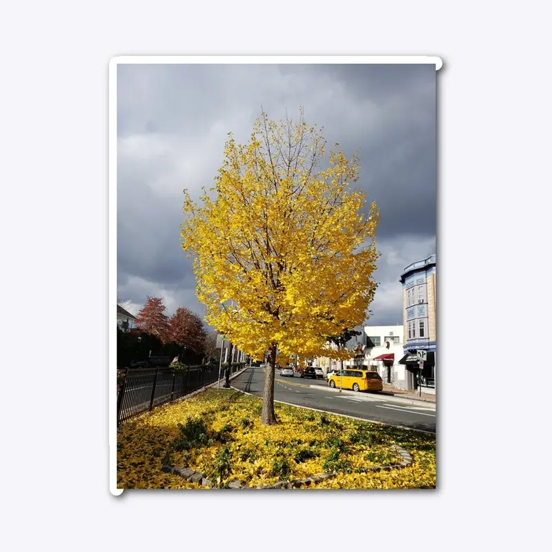 Yellow tree.