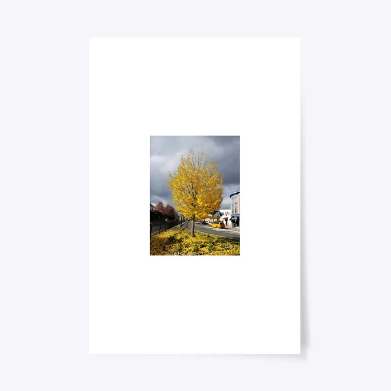 Yellow tree.